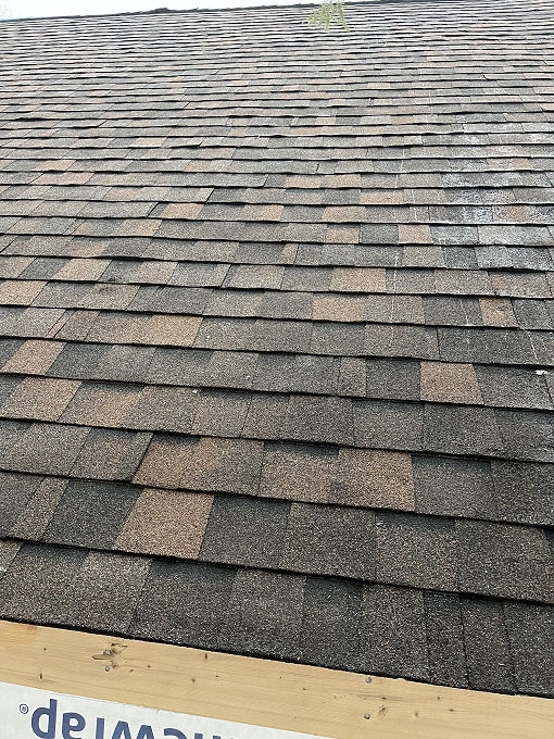Exterior Project